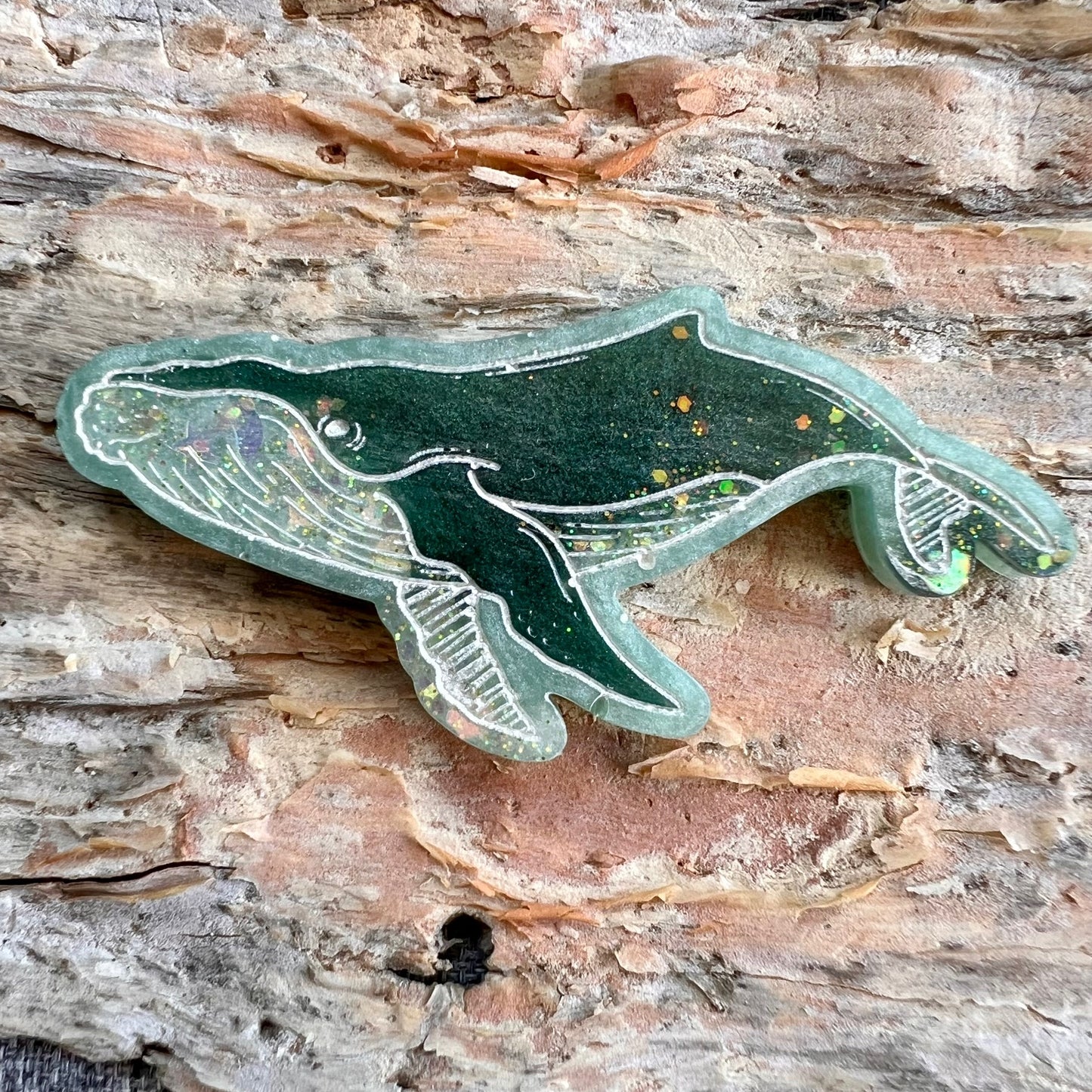 Whale tag