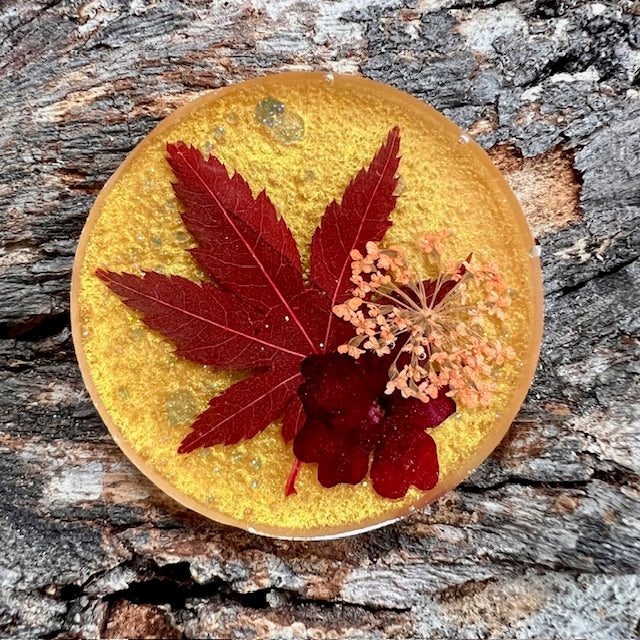 Autumn classics