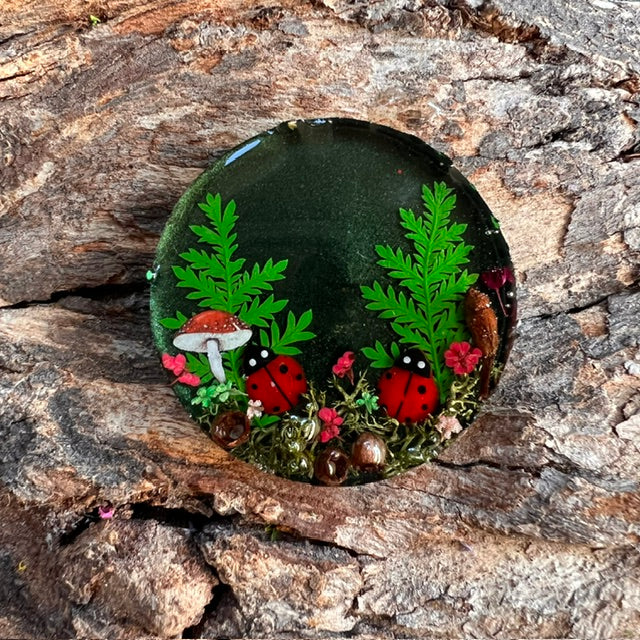 Magical Forest - NEW
