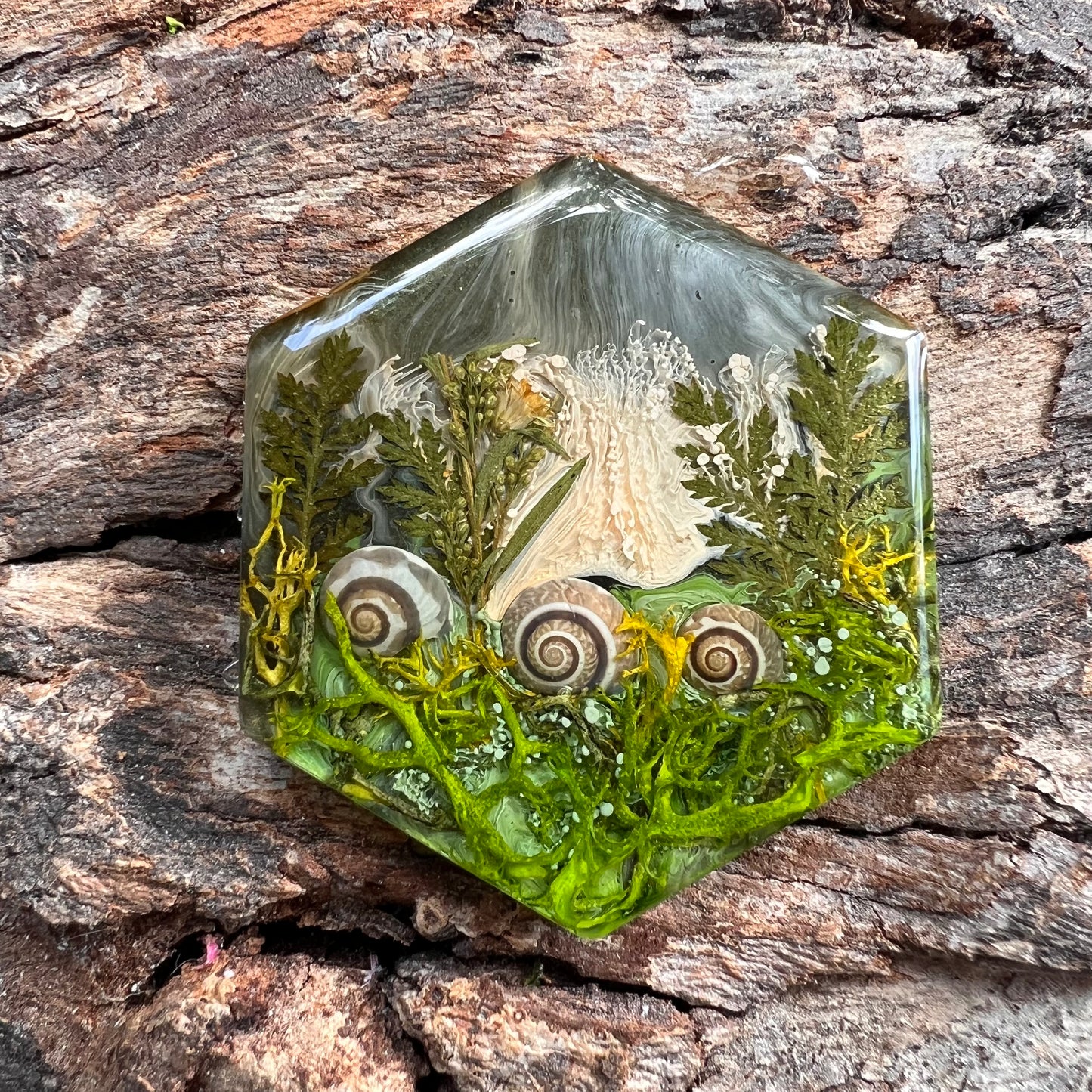 Magical Forest tag - hexagon large