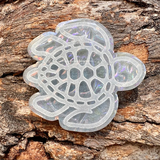 Turtle tag