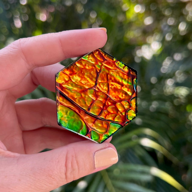 Opal tag - hexagon large