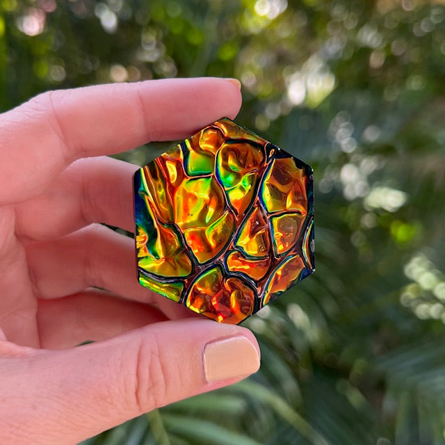 Opal tag - hexagon large