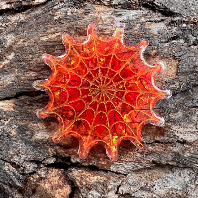 Spiderweb tag