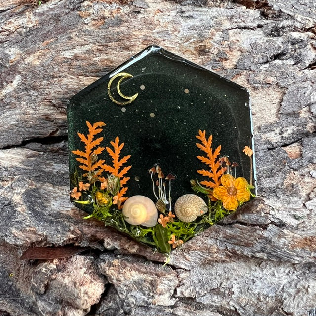 Magical Forest tag - hexagon large