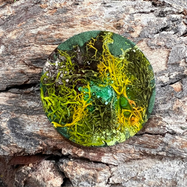 Magical Forest tag - circle large