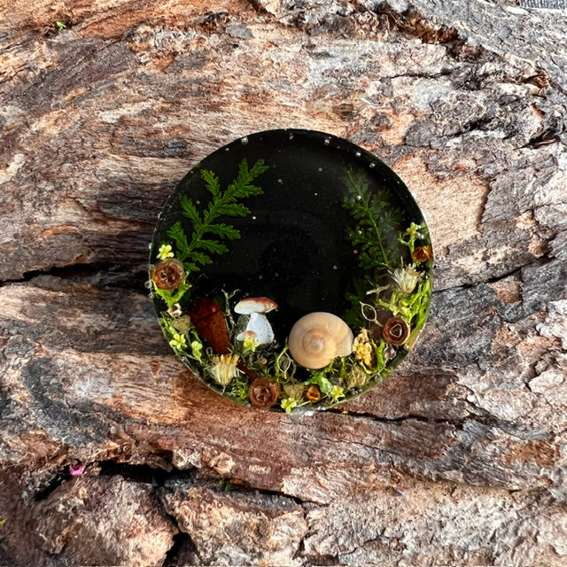Magical Forest tag - circle medium