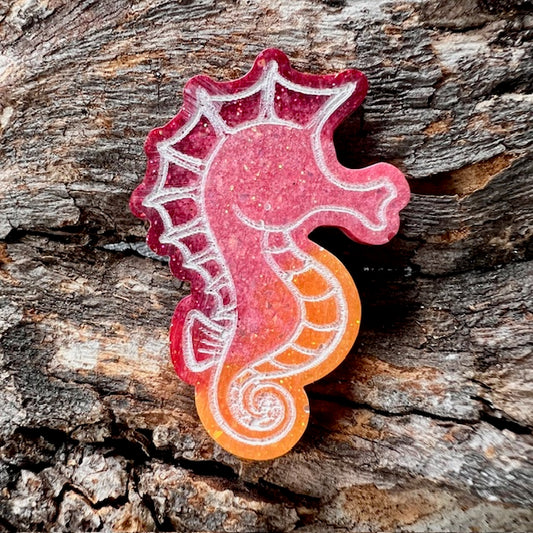 Seahorse tag
