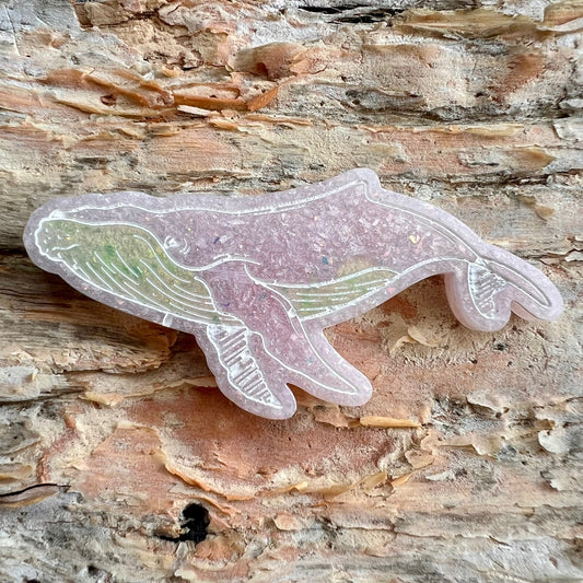 Whale tag