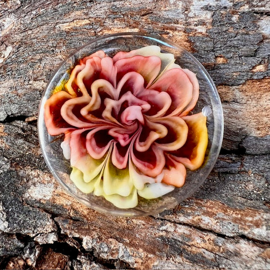 Bloom tag autumn circle medium